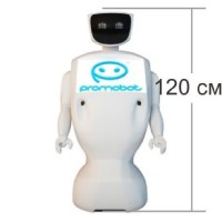 Робот Promobot V2 в долгосрочную аренду (Промобот)