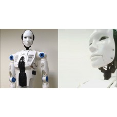 HR Робот Truebot (Трубот) 