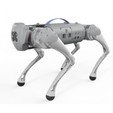 Собака робот Go1 Pro в аренду